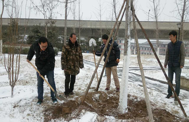 养护部进行雪后巡查，积极开展应急工作